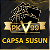 capsa susun
